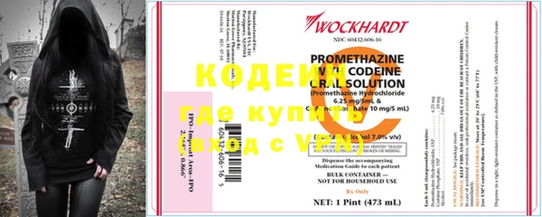 индика Гусев