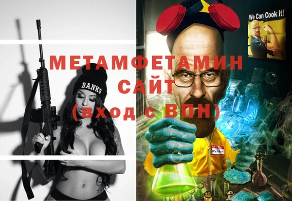 индика Гусев