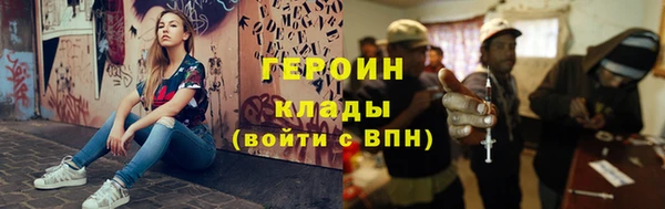 индика Гусев