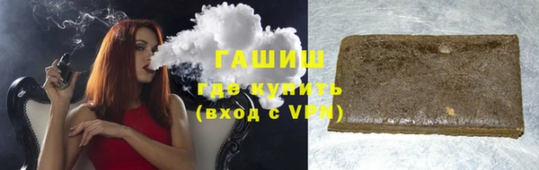 индика Гусев