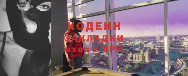 индика Гусев