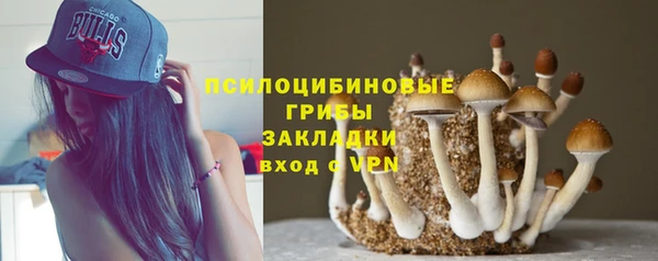 гашиш Гусь-Хрустальный