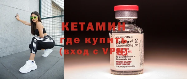 индика Гусев