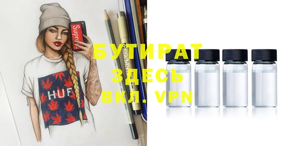 индика Гусев