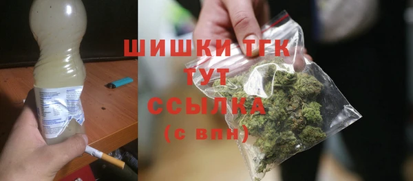индика Гусев