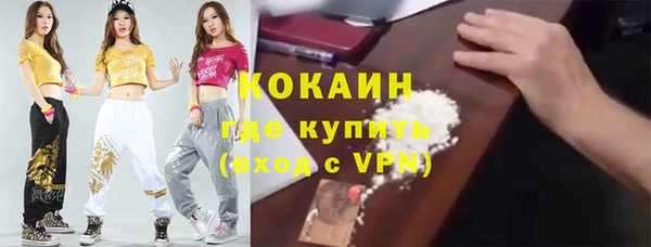 индика Гусев
