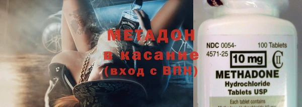 индика Гусев