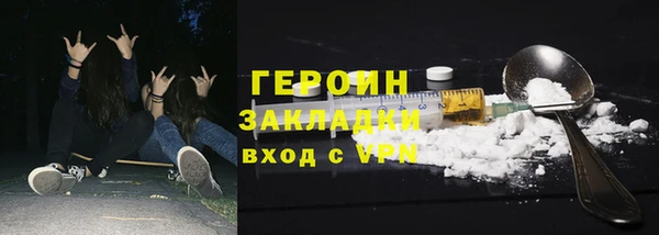 индика Гусев
