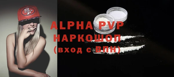 индика Гусев