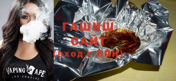 индика Гусев