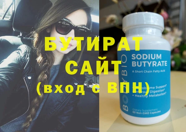индика Гусев