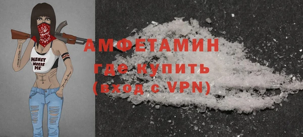 индика Гусев