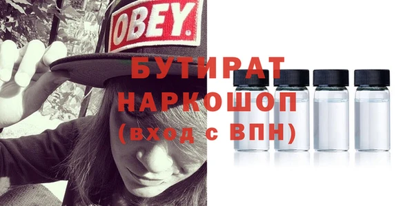 индика Гусев